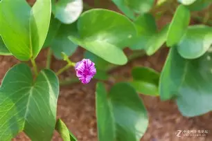 虅蓊[橧嗴M	t9?0L>_?q???盋髌髼Jy?嚓:I}:?萐纠瀧佧螁]蹹胸?GV烜{;p?铍藅G?r虴嵳擛?許7?謉的简单介绍-开云体育下载